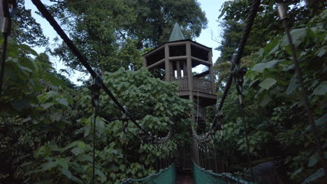 The-hanging-suspension-bridge-at-the-Canopy-Walk,-Kuala-Lumpur-Forest-Eco-Park