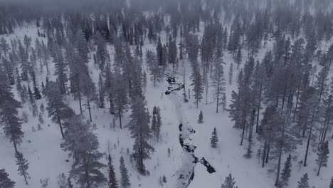 Aerial-of-a-frozen-forest-with-snow-covered-trees-and-a-frozen-river-in-Idre,-Sweden-during-a-cloudy-day-with-fog