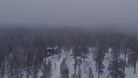 Aerial-of-a-frozen-forest-with-snow-covered-trees-in-Idre,-Sweden-during-a-cloudy-day-with-fog-4