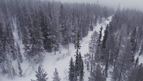 Aerial-of-a-frozen-forest-with-snow-covered-trees-in-Idre,-Sweden-during-a-cloudy-day-with-fog-7