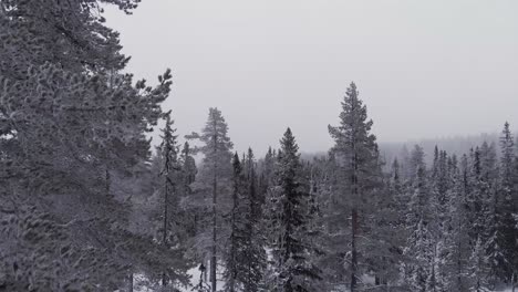 Aerial-of-a-frozen-forest-with-snow-covered-trees-in-Idre,-Sweden-during-a-cloudy-day-with-fog-5