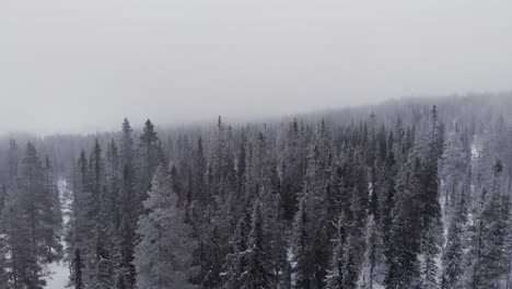 Aerial-of-a-frozen-forest-with-snow-covered-trees-in-Idre,-Sweden-during-a-cloudy-day-with-fog-3