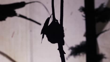 Bat-Silhouette-climbing-up-a-tree