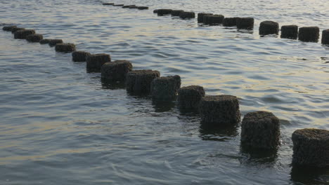 Timber-groynes-flooded-at-a-high-tide