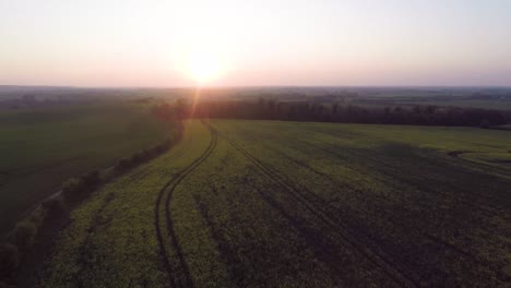 Flying-over-beautiful-yellow-fields-as-the-sun-slowly-sets-over-the-horizon