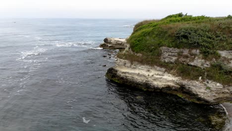 Aerial-shot-of-sea-and-seashore-cliffs-in-cloudy-day,-birds-fly,-green-vegetation