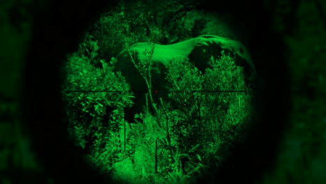 Elephant-being-poached-at-night-by-a-hunter