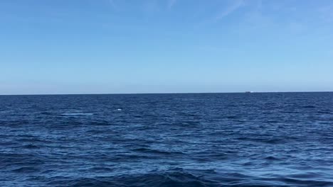 Drei-Buckelwale,-Die-Aus-Dem-Wasser-Kommen,-Um-Zu-Atmen-Und-Ihre-Schwänze-In-Cabo-San-Lucas-Zu-Zeigen-1