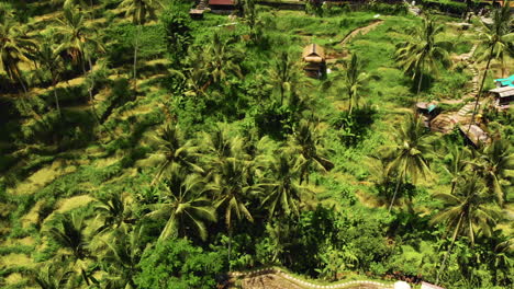 Aerial-footage-of-beautiful-Balinese-nature-and-villages