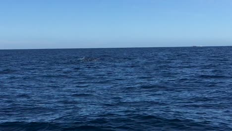 Zwei-Buckelwale,-Die-An-Die-Wasseroberfläche-Kommen,-Um-Zu-Atmen-Und-Ihre-Schwänze-In-Cabo-San-Lucas-Zu-Zeigen