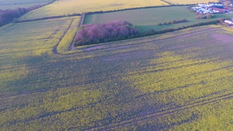 Flying-over-beautiful-yellow-fields-as-the-sun-slowly-sets-1