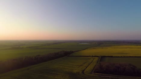 Flying-over-beautiful-yellow-fields-as-the-sun-slowly-sets-9