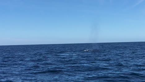 Ein-Paar-Buckelwale,-Die-Die-Meeresoberfläche-Erreichen,-Um-Zu-Atmen-Und-Ihre-Schwänze-In-Cabo-San-Lucas-Zu-Zeigen