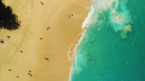 Drone-bird's-view-on-a-tropical-beach-with-many-tourists-swimming,-sun-tanning-near-a-turquoise-ocean-with-amazing-white-waves-splashing