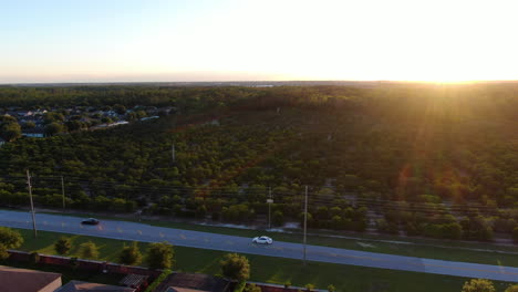 Flying-out-over-an-Orange-tree-grove-to-reveal-lakeside-homes-and-woods-during-a-beautiful-sunset