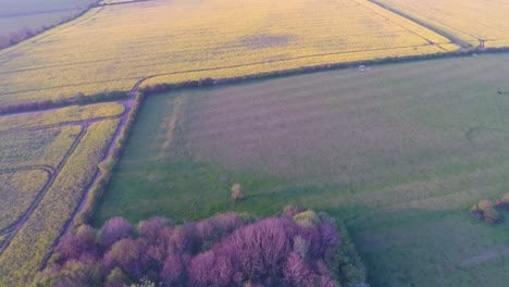 Flying-over-beautiful-yellow-fields-as-the-sun-slowly-sets-3