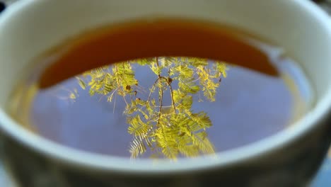 Schöne-Tasse-Tee-Mit-Dem-Spiegelbild-Der-Natur-Und-Plötzlich-Wird-Ein-Teebeutel-Abgelegt