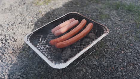 Close-up-of-a-disposable-barbecue-grill-with-two-normal-hotdogs-made-from-meat-and-two-vegan-hotdogs-made-from-soy