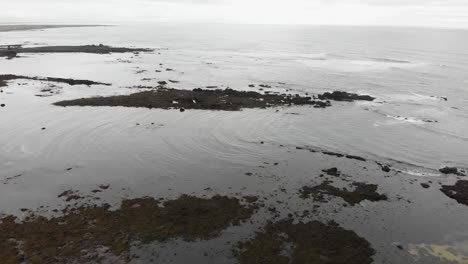 Aerial-footage-over-Ytri-Tunga-beach-located-in-Iceland-1