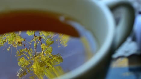 Beautiful-reflections-of-a-tree-in-a-tea-cup-and-then-a-hand-hold-the-cup