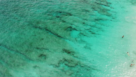 Luftaufnahmen-Von-Erstaunlich-Klarem,-Türkisfarbenem-Wasser-Mit-Schwimmenden-Touristen