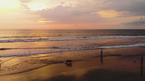 Silhouetten-Von-Menschen-Und-Ihren-Hunden-Während-Eines-Sonnenuntergangs-Am-Strand