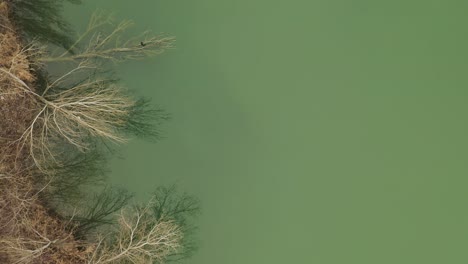 Aerial-–-Cinematic-close-up-overhead-shot-above-a-lake-with-islands-and-herons