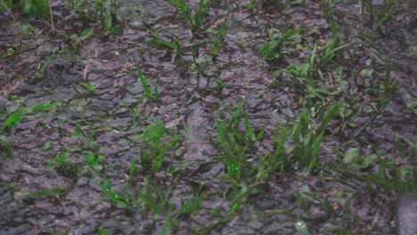 Rain-continues-to-fall-on-over-saturated-ground