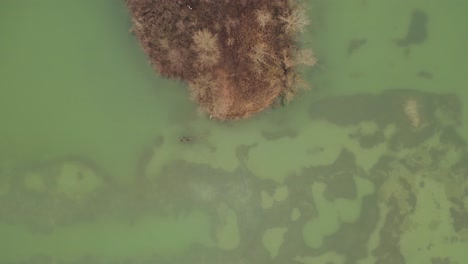 Luftaufnahme-–-Filmische-Overhead-Aufnahme-über-Einem-See-Mit-Inseln
