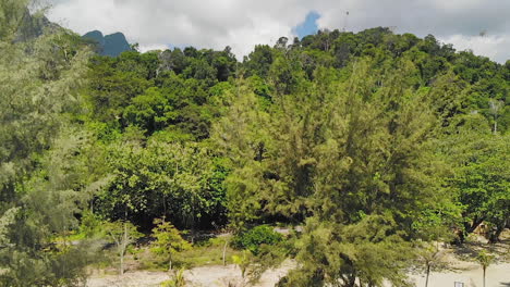 Aufsteigende-Luftaufnahme-Zeigt-Den-Gebirgigen-Hintergrund-Auf-Einer-Tropischen-Insel