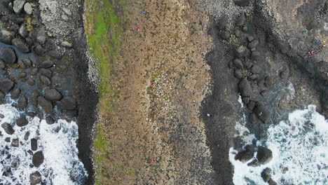 Bird's-eye-view-shot-of-tourists-visiting-the-Giant's-Causeway-rock-formations-in-Northern-Ireland