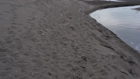 Moving-along-a-black-sand-beach-located-in-hvitserkur,-Vatnsnesvegur,-Iceland,-also-showing-water