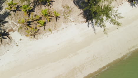 Aerial-top-down-travel-shot-of-an-empty-beach-on-a-tropical-island