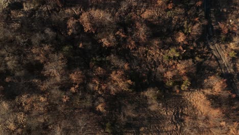 Luftaufnahme-–-Langsame-Filmische-Zenithalfahrt-über-Wälder-Und-Felder-In-Den-Apenninen