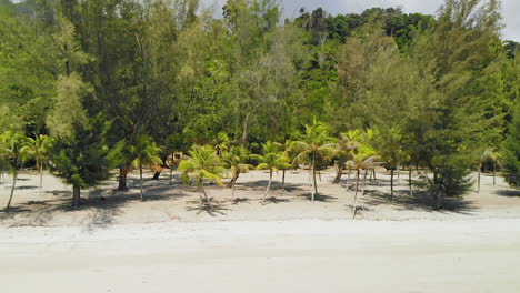 Aerial-zoom-out-shot-of-an-empty-tropical-island-beach-with-palm-trees