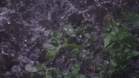 Slow-motion-rain-falling-on-over-saturated-ground-and-flooding