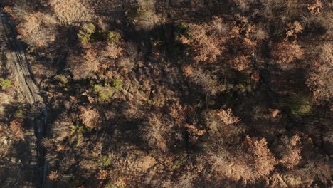 Aerial-–-Filmischer-Zenit-Shoot-über-Wälder-Und-Felder-Im-Apennin