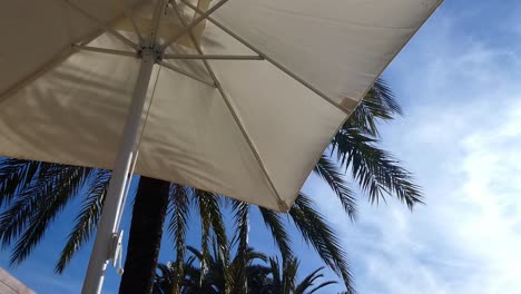 Bottom-view-of-a-parasol-in-summer-with-shadows-of-palm-trees-and-blue-sky