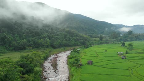 Aerial-view-of-paddy-filed-with-the-river,fog-,mountain,and-huts