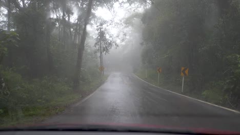 Driving-in-the-forest-with-fog-and-rain
