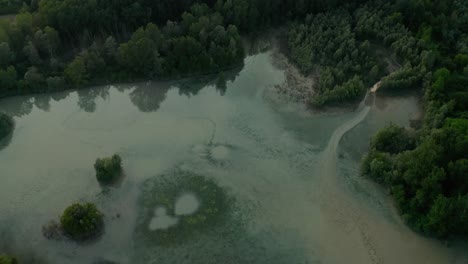 4K-Aerial-:-Cinematic-shot-revealing-beautiful-trees-in-sunset-with-camera-facing-down