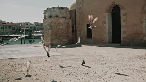 Pigeons-flying-away-in-slow-motion