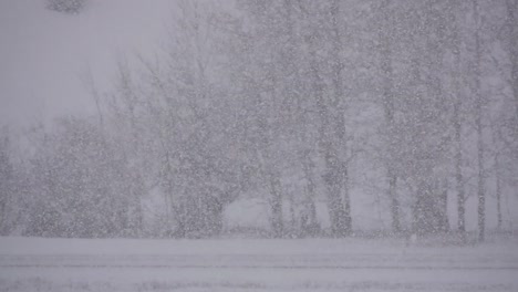 Vista-De-Los-árboles-En-La-Distancia-Cubiertos-Por-Una-Espesa-Nieve