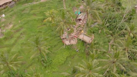 Filmische,-Glatte-Drohnenaufnahme-Aus-Der-Luft-Von-Den-Berühmten-Ubud-Reisterrassen-In-Bali-Mit-Lebhaften-Grünen-Mustern-Von-Pflanzen-An-Einem-Bewölkten-Tag-5