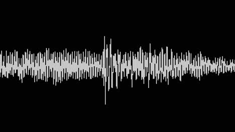 A-simple-black-and-white-audio-visualization-effect-25