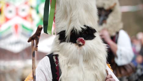 Verry-furry-head-mask-made-out-of-a-goat-with-a-man-holding-a-wooden-stick-which-is-an-old-shepherd-accesorie