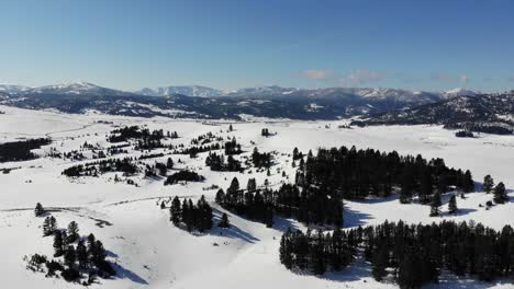 Drohnenaufnahme-Von-Bergen-In-Der-Ferne-Mit-Den-Hochebenen-Und-Wäldern-Im-Winter