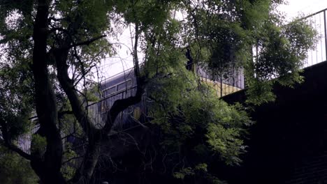 Train-passing-by-on-track-on-bridge-above-road,-level-with-treetops-2