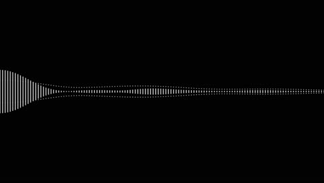 Ein-Einfacher-Schwarz-Weiß-Audio-Visualisierungseffekt-39
