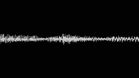 A-simple-black-and-white-audio-visualization-effect-35